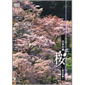 日本の美 桜 ～西日本編～