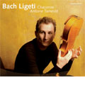 J.S.Bach:Partita No.2 BWV.1004/Ligeti :Solo Viola Sonata:Antoine Tamsestit(va)