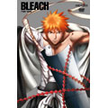 BLEACH 尸魂界 ソウル・ソサエティ 救出編 1＜完全生産限定版＞