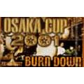 BURN DOWN:大阪CUP 2001(カセット)