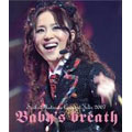 /Seiko Matsuda Concert Tour 2007 Baby's breath[SRXL-1]