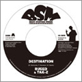 デスティネーション／ヴァージョン：ナイト・ビーチ・リディム（アナログ限定盤）＜完全生産限定盤＞