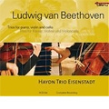 Beethoven: Piano Trios No.1-No.10, Allegretto for Piano Trio Hess.48, etc / Haydn Trio Eisenstadt Beethoven: Piano Trios No.1-No.10, Allegretto for Piano Trio Hess.48, etc / Haydn Trio Eisenstadt
