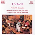 Bach: Favourite Cantatas