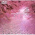 Virtual Trip さくら