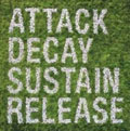 Attack Decay Sustain Release (US) Attack Decay Sustain Release (US)