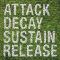 Attack Decay Sustain Release (US)