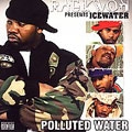 Raekwon presents Icewater : Polluted Water