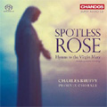Spotless Rose -Hymns to the Virgin Mary: S.Paulus, Britten, C.McDowall, H.N.Howells, etc / Charles Bruffy(cond), Phoenix Chorale Spotless Rose -Hymns to the Virgin Mary: S.Paulus, Britten, C.McDowall, H.N.Howells, etc / Charles Bruffy(cond), Phoenix Chorale