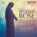 Spotless Rose -Hymns to the Virgin Mary: S.Paulus, Britten, C.McDowall, H.N.Howells, etc  / Charles Bruffy(cond), Phoenix Chorale