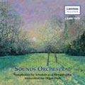 Sounds Orchestral - Symphonies by Schubert and Mendelssohn Transcribed for Organ Duet / Greg Morris, David Gibbs