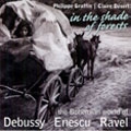 In the Shade of Forests - The Bohemian World of Debussy, Enescu & Ravel In the Shade of Forests - The Bohemian World of Debussy, Enescu & Ravel