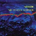 Best Of The Icicle Works Best Of The Icicle Works