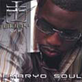 TOWER RECORDS ONLINE㤨Eijay/Embryo Soul[01582]פβǤʤ2,490ߤˤʤޤ