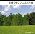 FRESH COLOR LABEL compilation vol.1 FRESH COLOR LABEL compilation vol.1