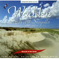 Sounds Of The Earth/Wadden ： Sands & Seagulls[ORN58222]