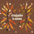 orangepekoe in autumn