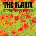 In The Poppy Fields [ECD]