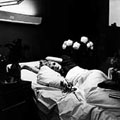 Antony &The Johnsons/I Am a Bird Now[SC105]