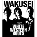 WHITE WESTERN BOOTS