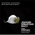 J.S.Bach: Wedding Cantatas / Ton Koopman, Amsterdam Baroque Orchestra & Choir, etc
