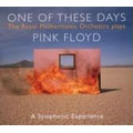 One Of These Days : The Music Of Pink Floyd