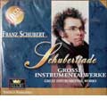 SCHUBERT:GREAT WORKS:SCHUBERTIADE