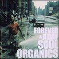FOREVER&A DAY SOUL ORGANICS SELECTED BY JUNPEI SHIINA