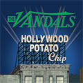 Hollywood Potato Chip