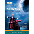 Bellini: Norma/ Carella Bellini: Norma/ Carella
