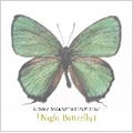 night butterfly＜限定盤＞
