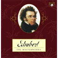 Schubert: The Masterworks -Complete Symphonies, Complete Mass, String Quartets, String Quintets, etc