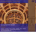 Handel : Saul HWV.53 (7/11-12/2008) / Hans-Christoph Rademann(cond), Dresden Baroque Orchestra, Dresden Chamber Chorus, Yorck Felix Speer(Bs-Br), Tim Mead(C-T), etc Handel : Saul HWV.53 (7/11-12/2008) / Hans-Christoph Rademann(cond), Dresden Baroque Orchestra, Dresden Chamber Chorus, Yorck Felix Speer(Bs-Br), Tim Mead(C-T), etc