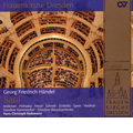 Handel : Saul HWV.53 (7/11-12/2008)  / Hans-Christoph Rademann(cond), Dresden Baroque Orchestra, Dresden Chamber Chorus, Yorck Felix Speer(Bs-Br), Tim Mead(C-T), etc