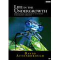 BBC ライフ・イン・ザ・アンダーグロウス 昆虫の世界 DVD-BOX(5枚組) BBC ライフ・イン・ザ・アンダーグロウス 昆虫の世界 DVD-BOX(5枚組)