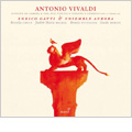 Vivaldi: 12 Trio Sonatas Op.1 / Enrico Gatti(vn/cond), Ensemble Aurora Vivaldi: 12 Trio Sonatas Op.1 / Enrico Gatti(vn/cond), Ensemble Aurora