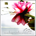 reach up to the universe