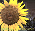 Sunflower City