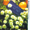 Luminous Orange/WAITING FOR THE SUMMER[KOGA-029]