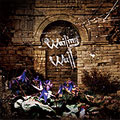 Wailing Wall  ［CD+DVD］＜5,000枚限定生産盤＞