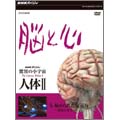 NHKスペシャル 驚異の小宇宙 人体II 脳と心 第5集 秘められた復元力~発達と再生~ NHKスペシャル 驚異の小宇宙 人体II 脳と心 第5集 秘められた復元力~発達と再生~