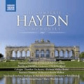 Haydn Complete Symphonies / Patrick Gallois(cond), Sinfonia Finlandia Jyvaskyla, Nicholas Ward(cond), Northern Chamber Orchestra, etc [8503400]