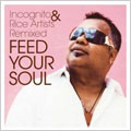 FEED YOUR SOUL Incognite & Rice Artists Remixed