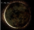Calm/Silver Moon[MUCOCD-019]