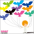 soar