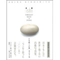 木之下晃　石を聞く肖像 石を聞く肖像 | 木之下晃 | nostos books ノストスブックス