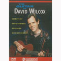 Guitar Of David Wilcox
