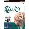 NHKスペシャル 驚異の小宇宙 人体II 脳と心 第6集 果てしなき脳宇宙～無意識と創造性～