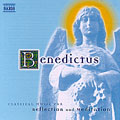 Benedictus - Classical Music for Reflection & Meditation