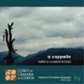 CARRAPATOSO:A CAPPELLA CHORAL WORKS:TERESITA GUTIERREZ MARQUEZ(cond)/LISBON CHAMBER CHOIR